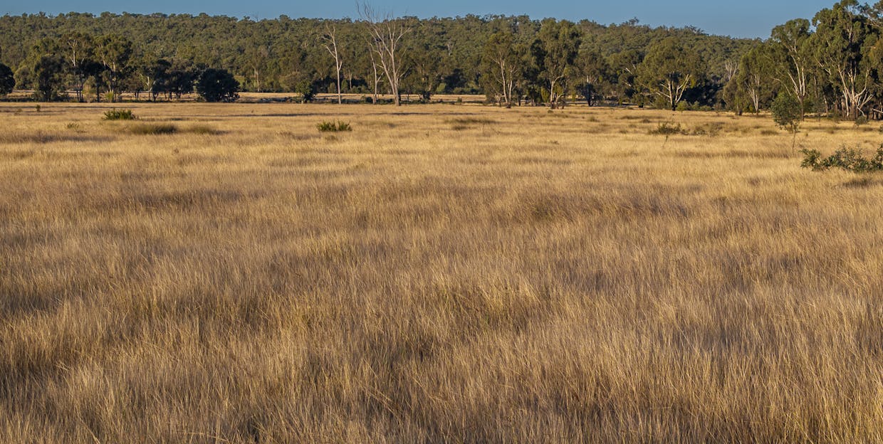 163 Flohrs Road, Wowan, QLD, 4702 - Image 17