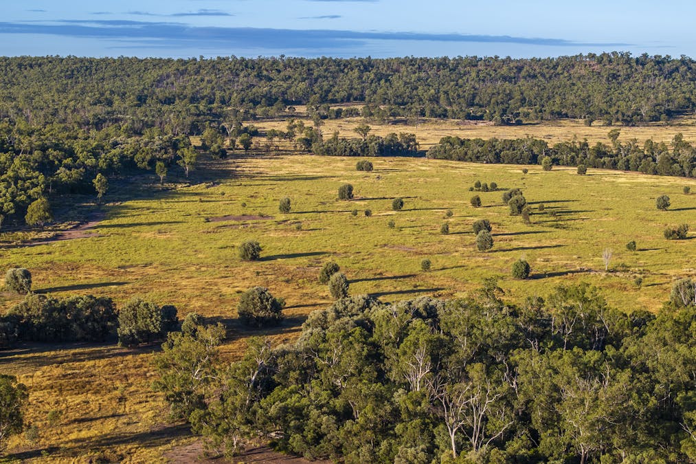 163 Flohrs Road, Wowan, QLD, 4702 - Image 20