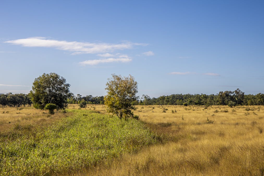 163 Flohrs Road, Wowan, QLD, 4702 - Image 22