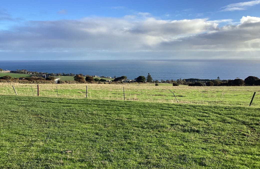 25/Cape Willoughby Road, Penneshaw, SA, 5222 - Image 7