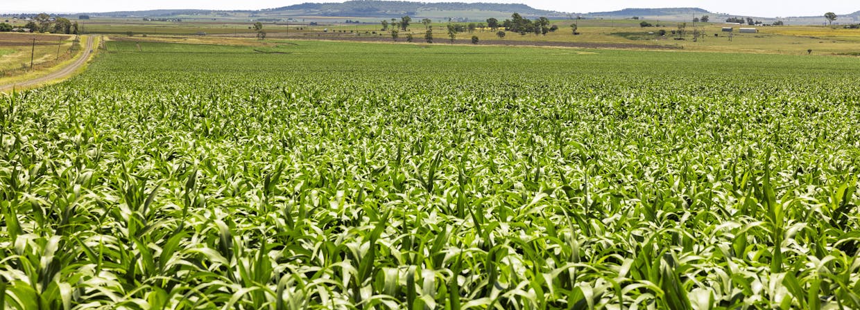 Lot 3 Carey Road, Nevilton, QLD, 4361 - Image 4