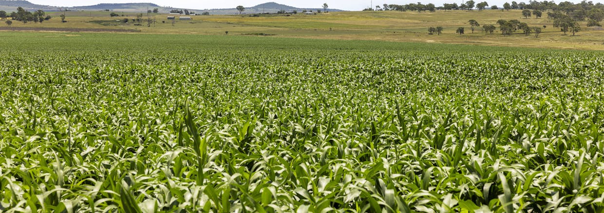 Lot 3 Carey Road, Nevilton, QLD, 4361 - Image 5