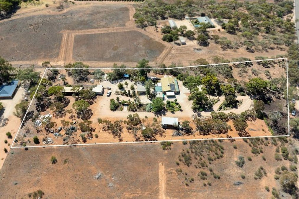 110 Caddy Road, Barmera, SA, 5345 - Image 19