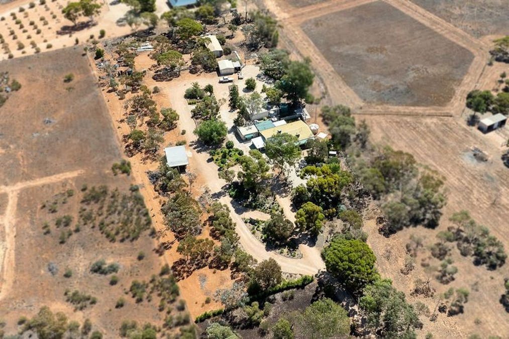 110 Caddy Road, Barmera, SA, 5345 - Image 21