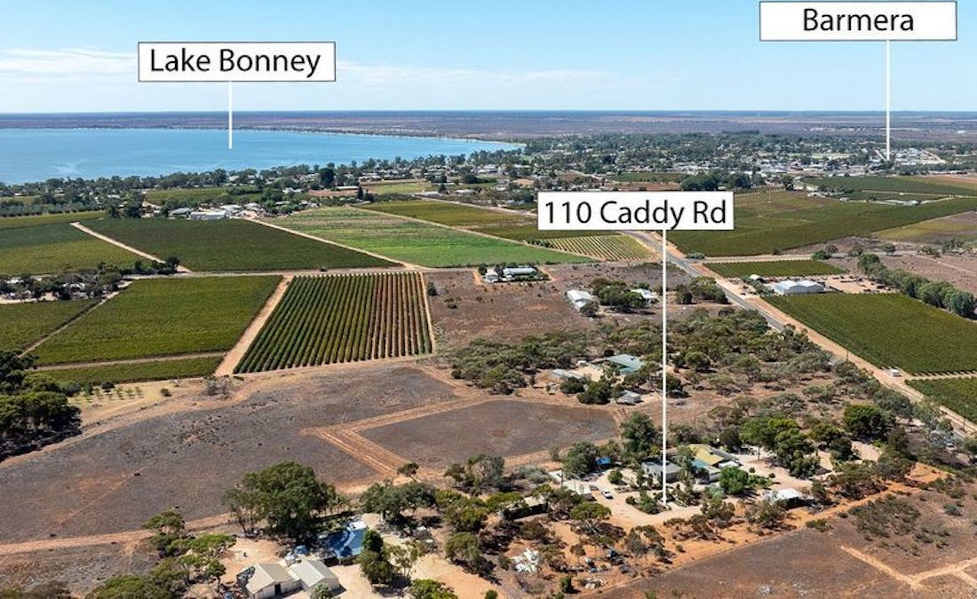 110 Caddy Road, Barmera, SA, 5345 - Image 3