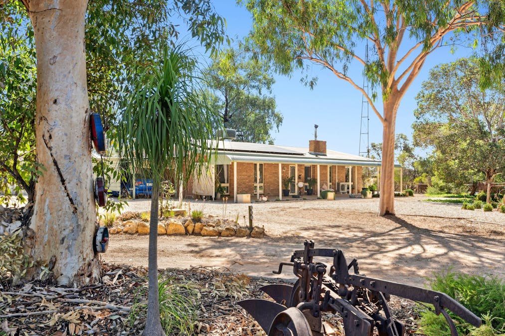 110 Caddy Road, Barmera, SA, 5345 - Image 2