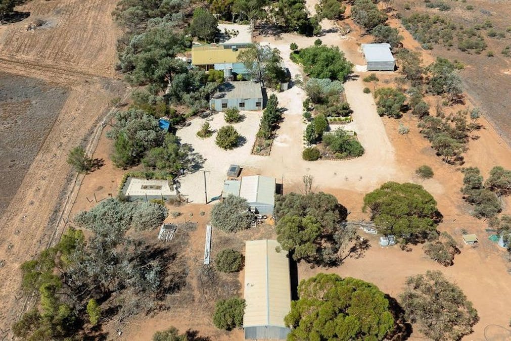 110 Caddy Road, Barmera, SA, 5345 - Image 20