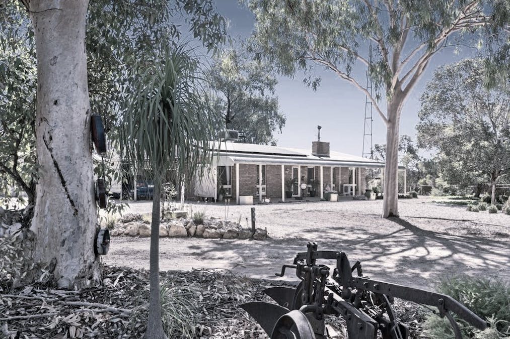 110 Caddy Road, Barmera, SA, 5345 - Image 1