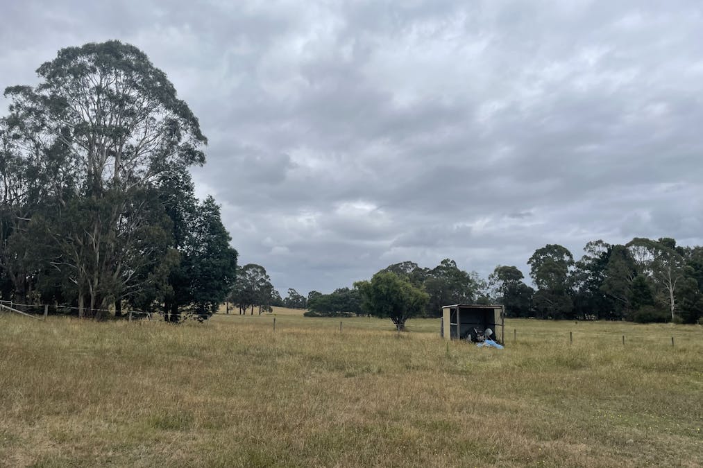 65 Tonkin Road, Labertouche, VIC, 3816 - Image 8