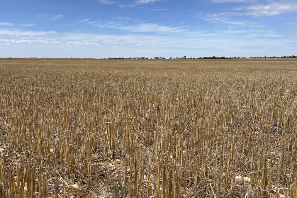 9723 Tod Highway, Lock, SA, 5633 - Image 9