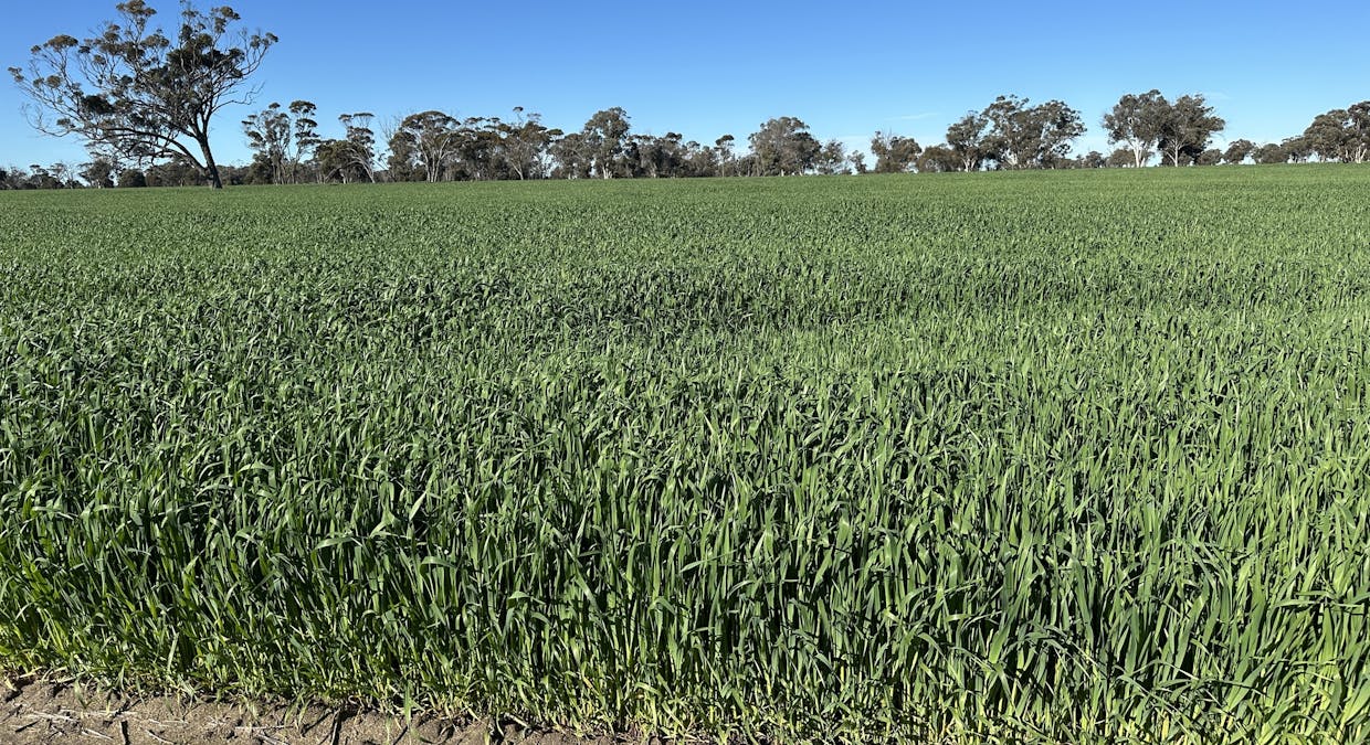28694 Great Southern Highway, Katanning, WA, 6317 - Image 3