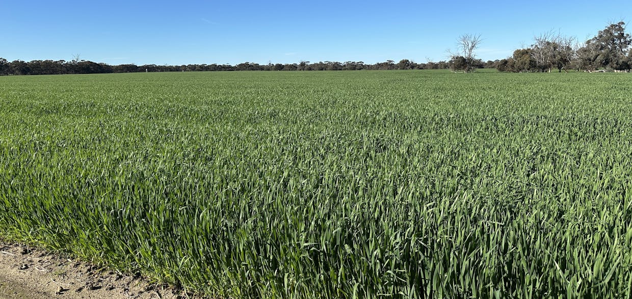 28694 Great Southern Highway, Katanning, WA, 6317 - Image 1