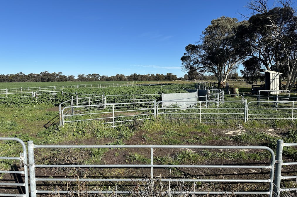 28694 Great Southern Highway, Katanning, WA, 6317 - Image 5