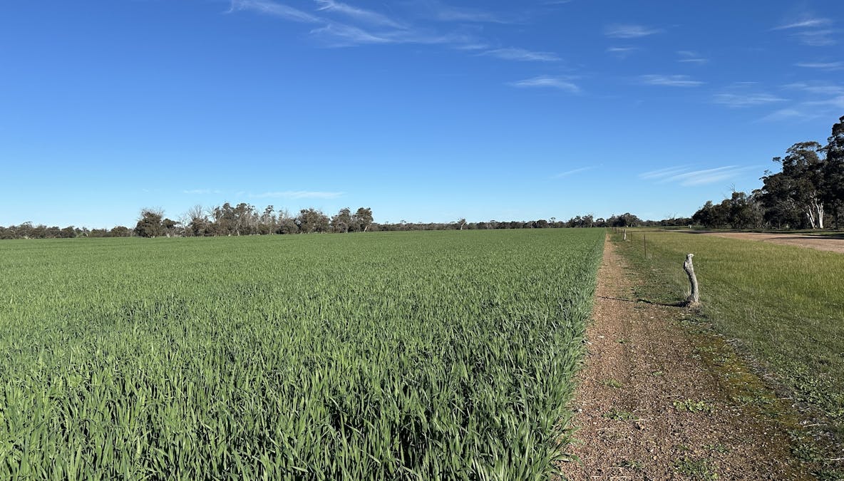 28694 Great Southern Highway, Katanning, WA, 6317 - Image 2