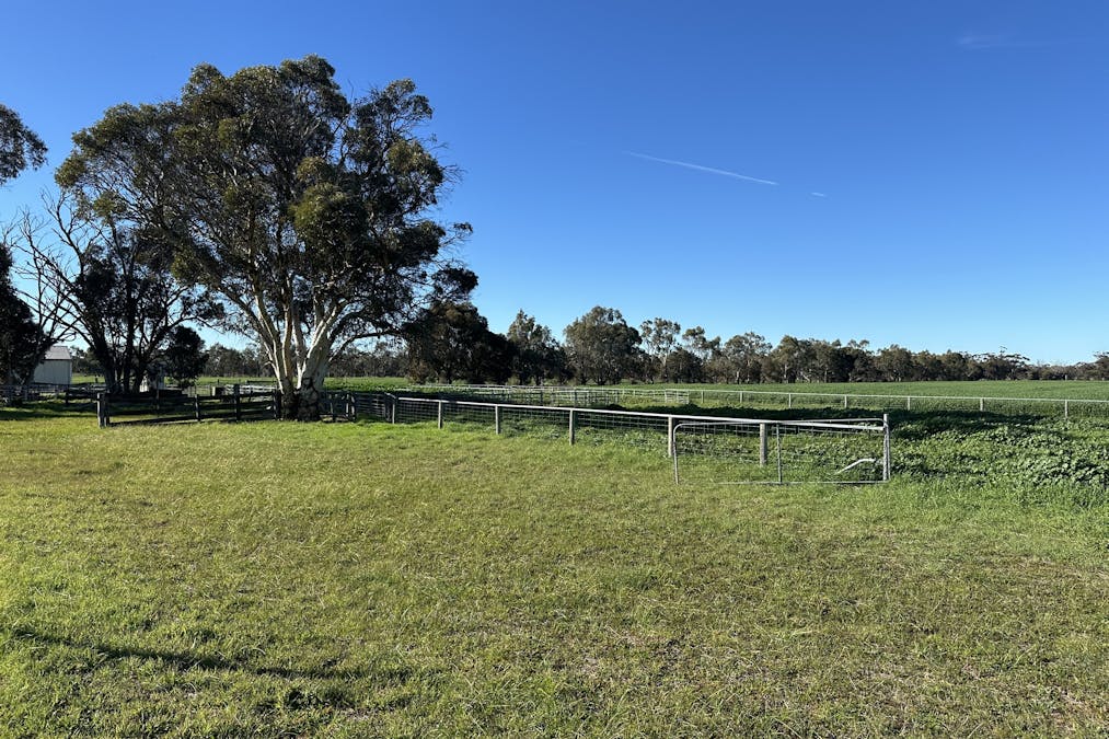 28694 Great Southern Highway, Katanning, WA, 6317 - Image 6
