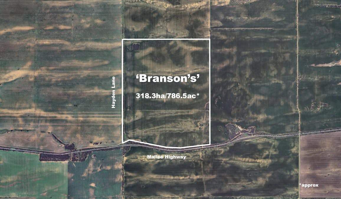 Hayden Lane, Piangil, VIC, 3597 - Image 2
