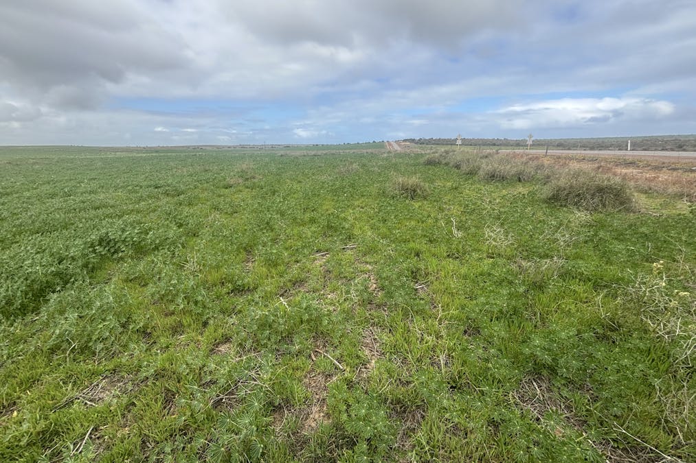 Lot 17 White Cliffs Road, Sandy Gully, WA, 6535 - Image 1