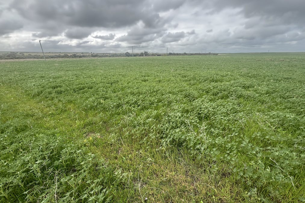 Lot 17 White Cliffs Road, Sandy Gully, WA, 6535 - Image 9