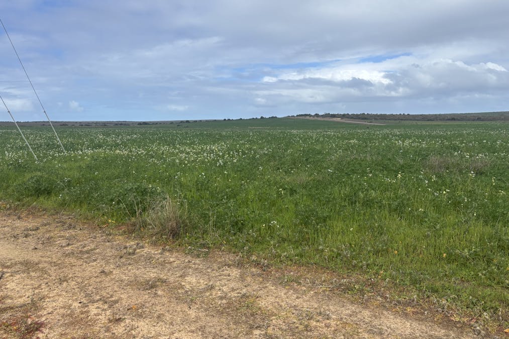 Lot 17 White Cliffs Road, Sandy Gully, WA, 6535 - Image 11