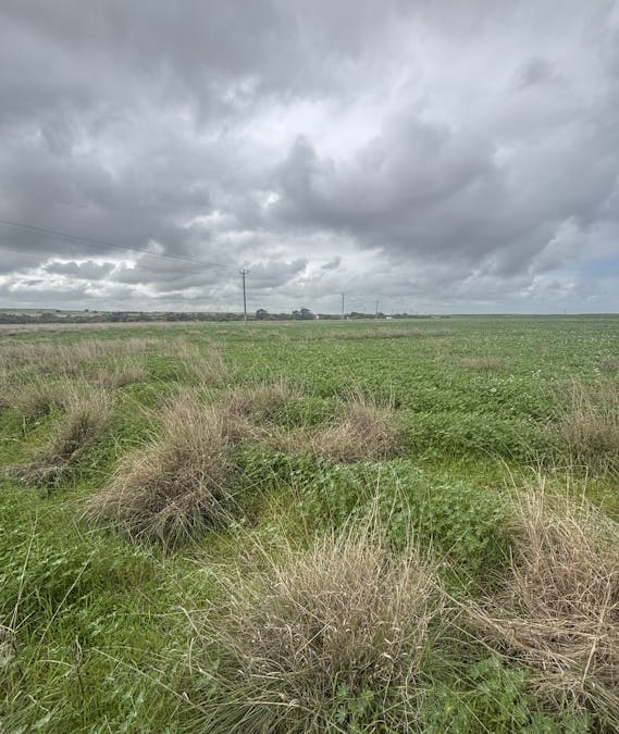 Lot 17 White Cliffs Road, Sandy Gully, WA, 6535 - Image 12