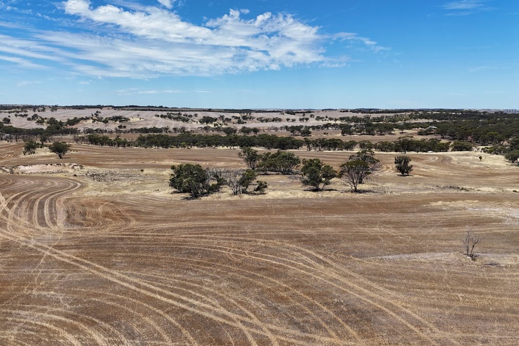 8662/Cunderdin-Quairading Road, Youndegin, WA, 6407 - Image 19