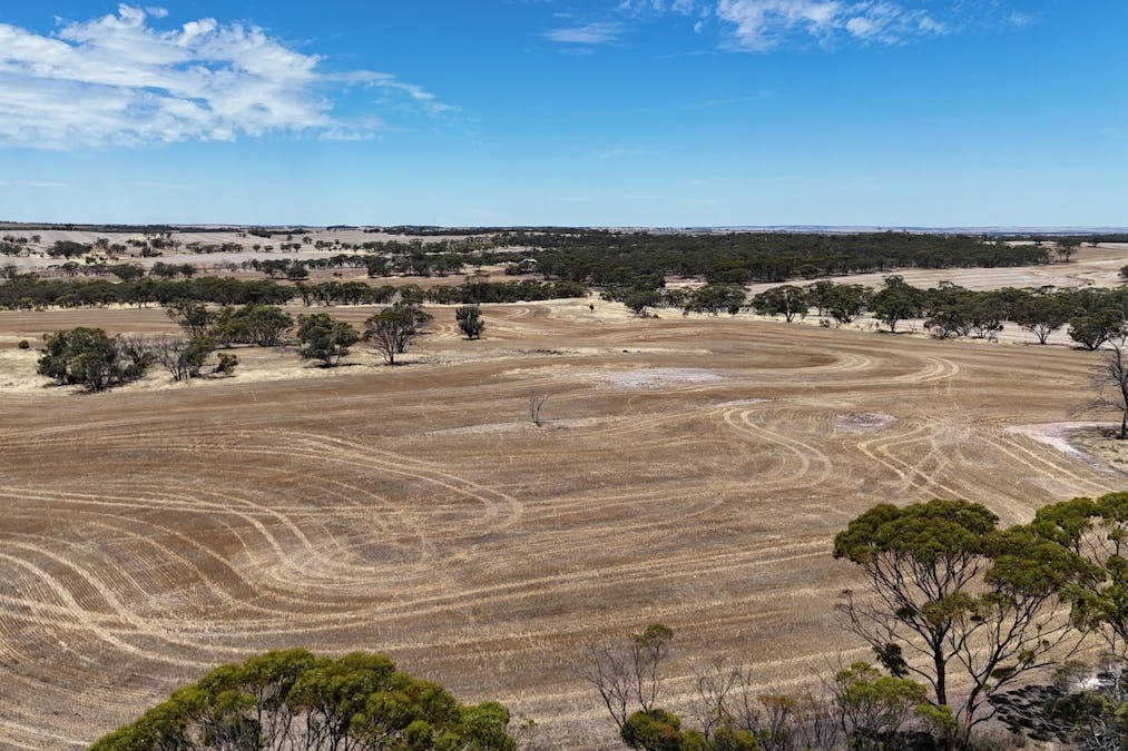 8662/Cunderdin-Quairading Road, Youndegin, WA, 6407 - Image 20