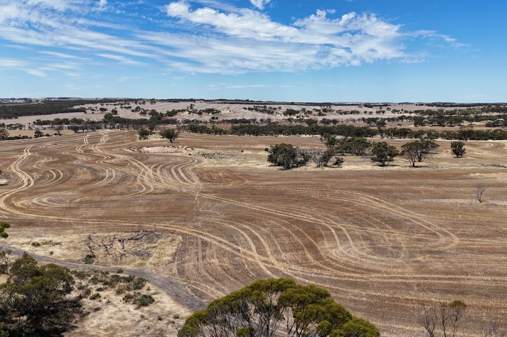8662/Cunderdin-Quairading Road, Youndegin, WA, 6407 - Image 21