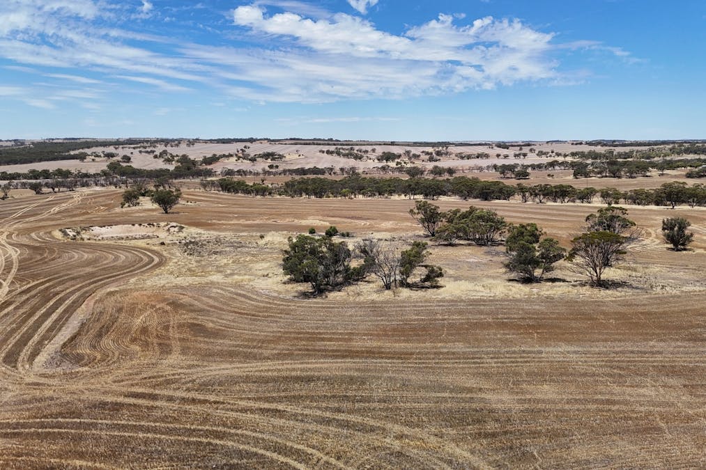 8662/Cunderdin-Quairading Road, Youndegin, WA, 6407 - Image 22