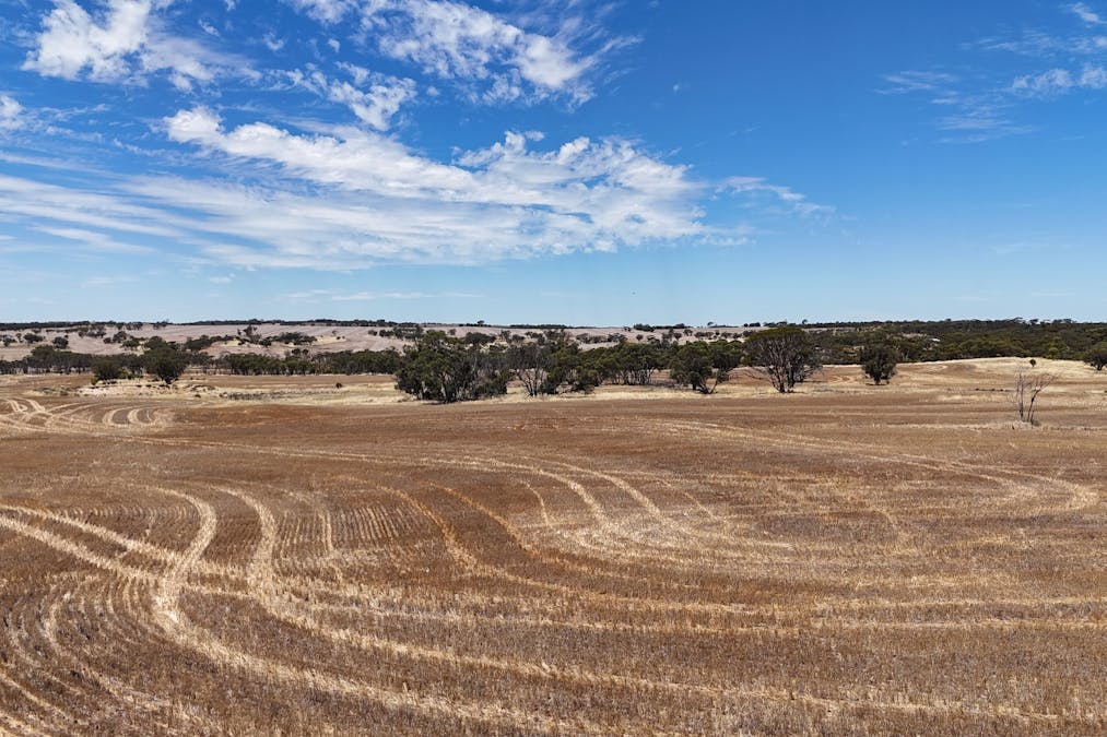 8662/Cunderdin-Quairading Road, Youndegin, WA, 6407 - Image 18