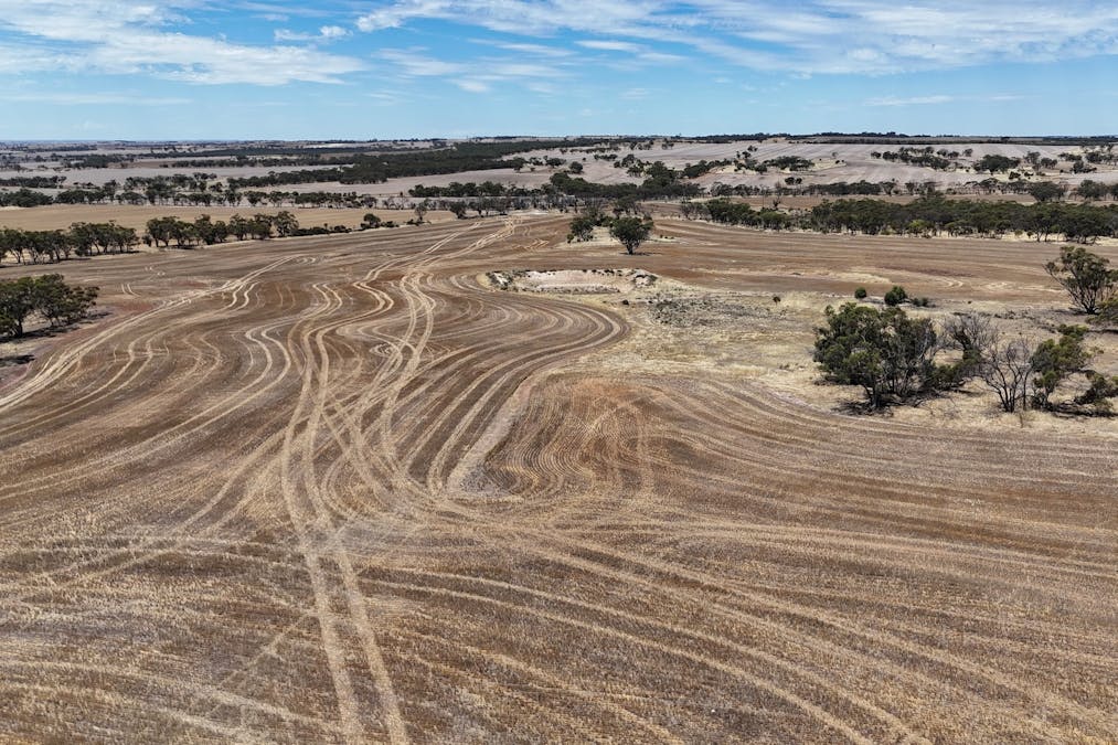 8662/Cunderdin-Quairading Road, Youndegin, WA, 6407 - Image 7