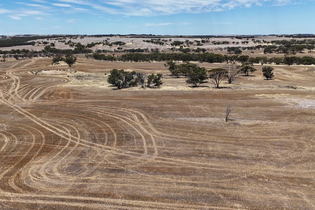 8662/Cunderdin-Quairading Road, Youndegin, WA, 6407 - Image 8