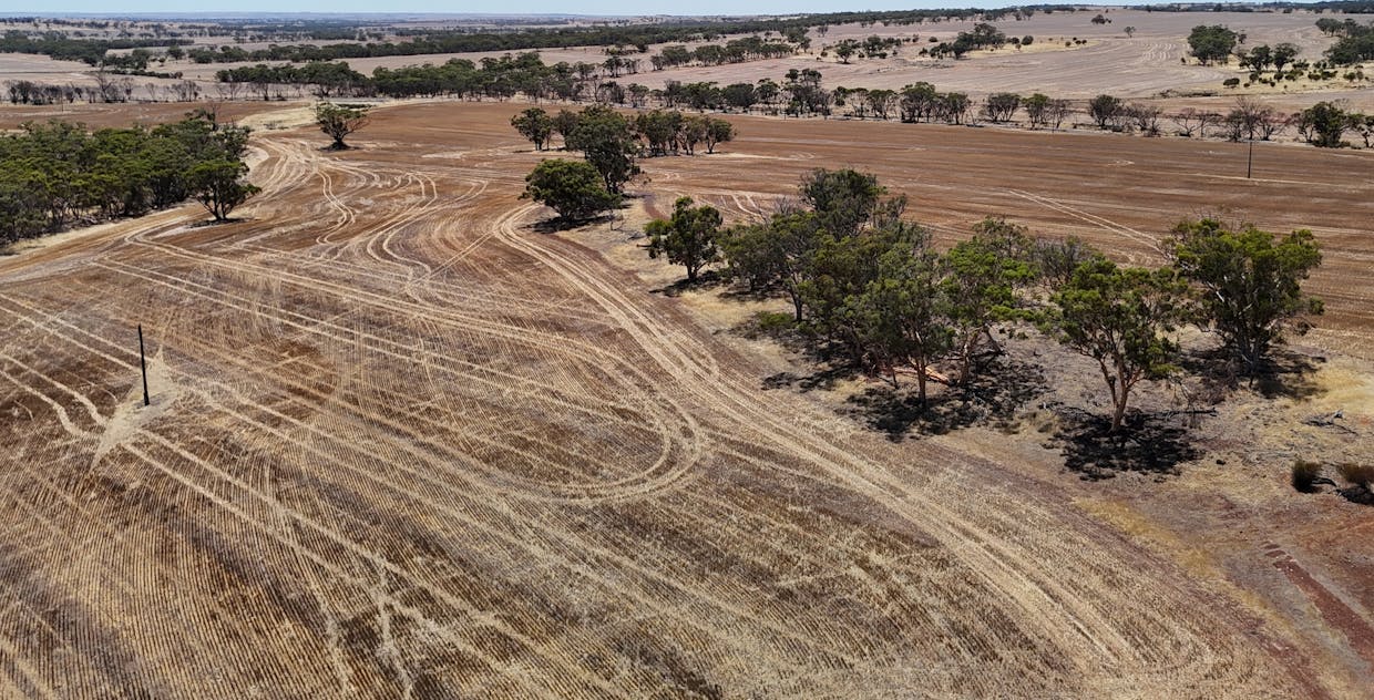 8662/Cunderdin-Quairading Road, Youndegin, WA, 6407 - Image 17