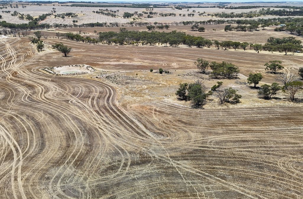 8662/Cunderdin-Quairading Road, Youndegin, WA, 6407 - Image 12