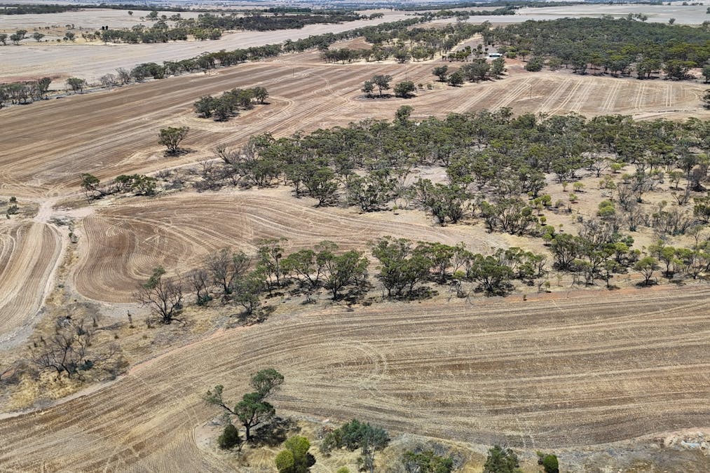 8662/Cunderdin-Quairading Road, Youndegin, WA, 6407 - Image 15