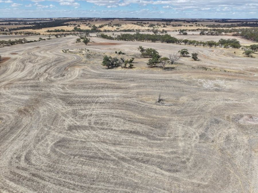 8662/Cunderdin-Quairading Road, Youndegin, WA, 6407 - Image 25