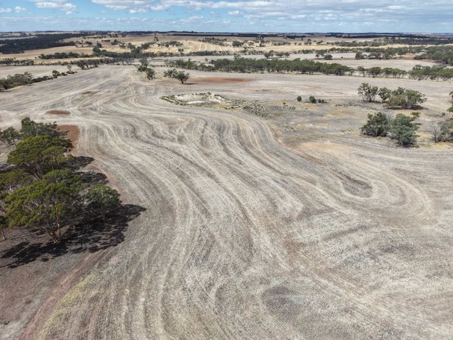 8662/Cunderdin-Quairading Road, Youndegin, WA, 6407 - Image 26