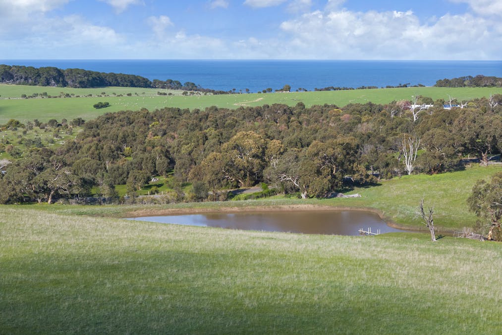 1252 Waitpinga Road, Waitpinga, SA, 5211 - Image 10