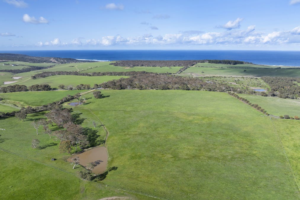 1252 Waitpinga Road, Waitpinga, SA, 5211 - Image 22