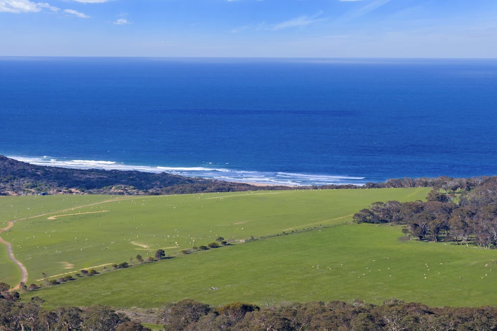 1252 Waitpinga Road, Waitpinga, SA, 5211 - Image 23