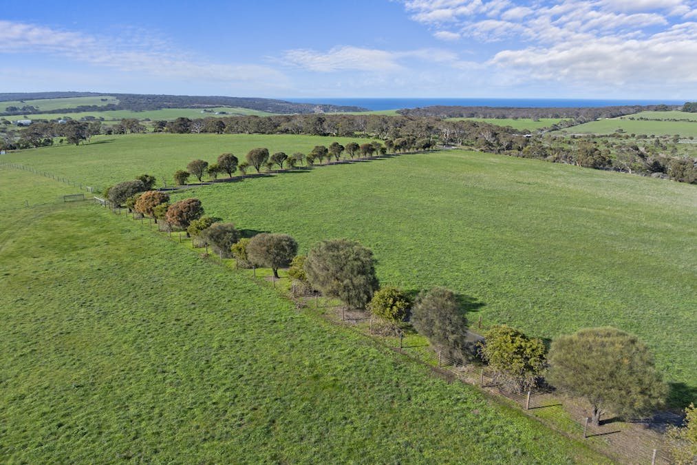 1252 Waitpinga Road, Waitpinga, SA, 5211 - Image 25