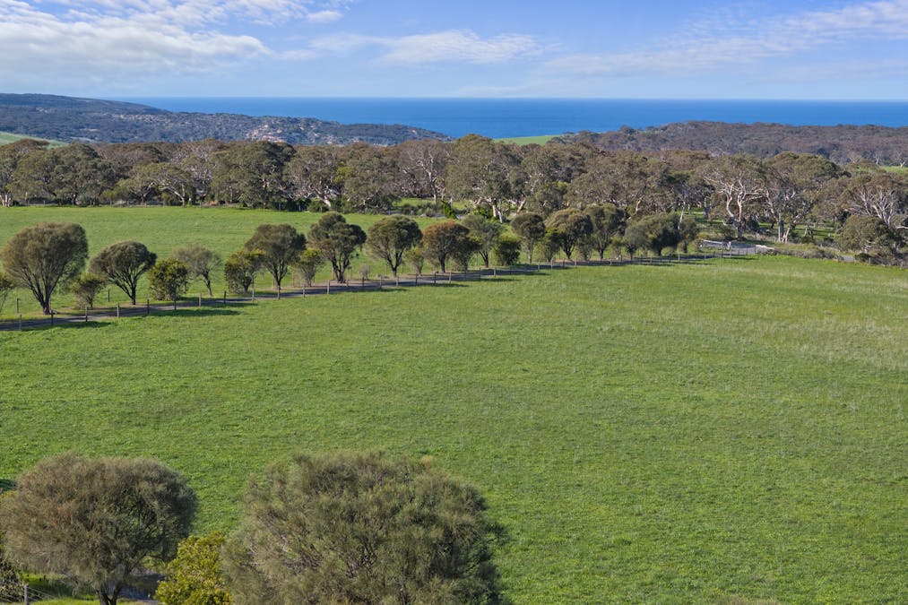1252 Waitpinga Road, Waitpinga, SA, 5211 - Image 26
