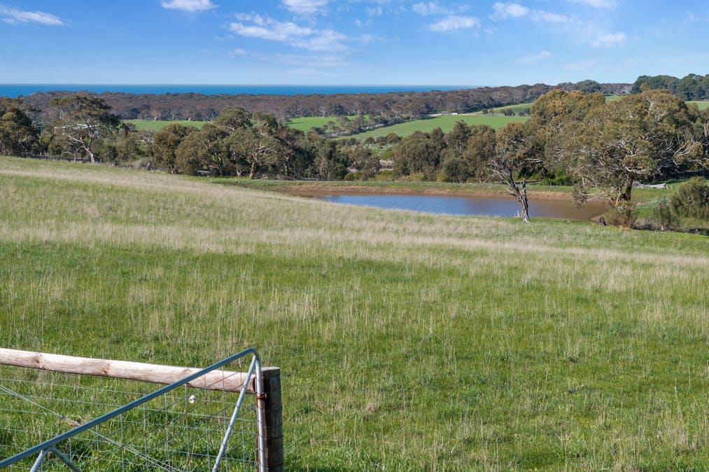 1252 Waitpinga Road, Waitpinga, SA, 5211 - Image 29