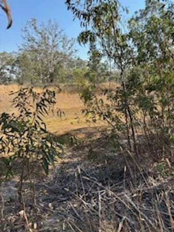 102/Sawmill Road, Sevenhill, SA, 5453 - Image 1