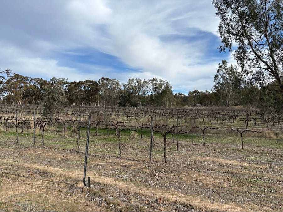 102/Sawmill Road, Sevenhill, SA, 5453 - Image 3