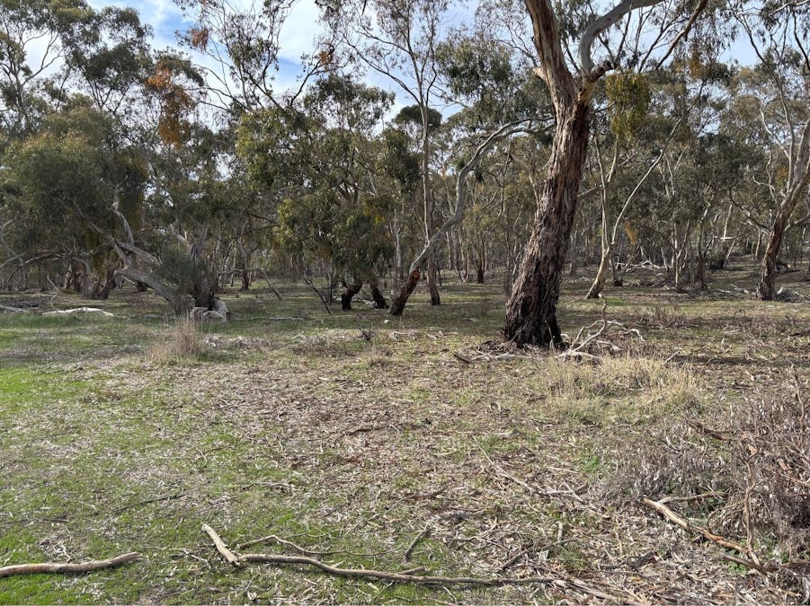 102/Sawmill Road, Sevenhill, SA, 5453 - Image 4