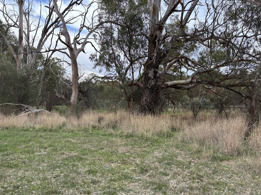 102/Sawmill Road, Sevenhill, SA, 5453 - Image 5