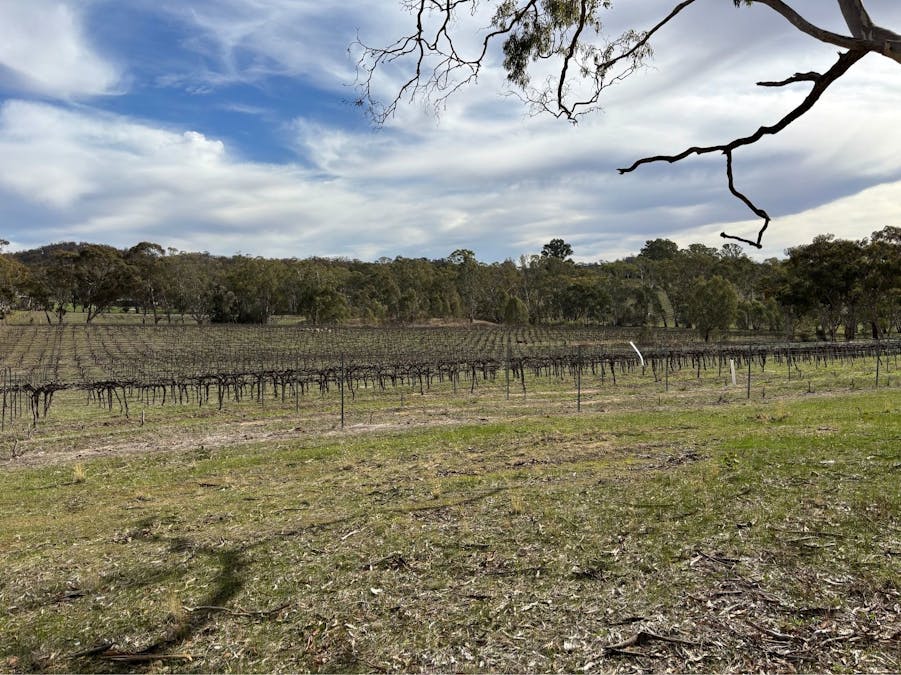 102/Sawmill Road, Sevenhill, SA, 5453 - Image 1
