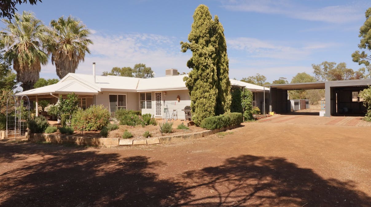 169 Manmanning Road, Wongan Hills, WA, 6603 - Image 3