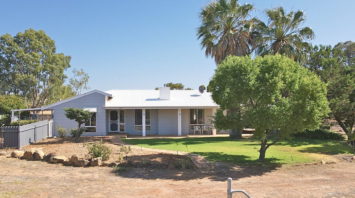 169 Manmanning Road, Wongan Hills, WA, 6603 - Image 1