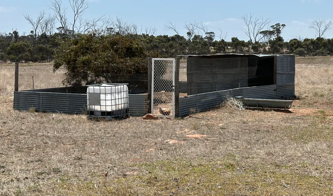 3366 Cowalellup Road, Cowalellup, WA, 6336 - Image 28